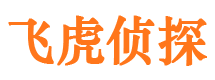 坊子市侦探公司